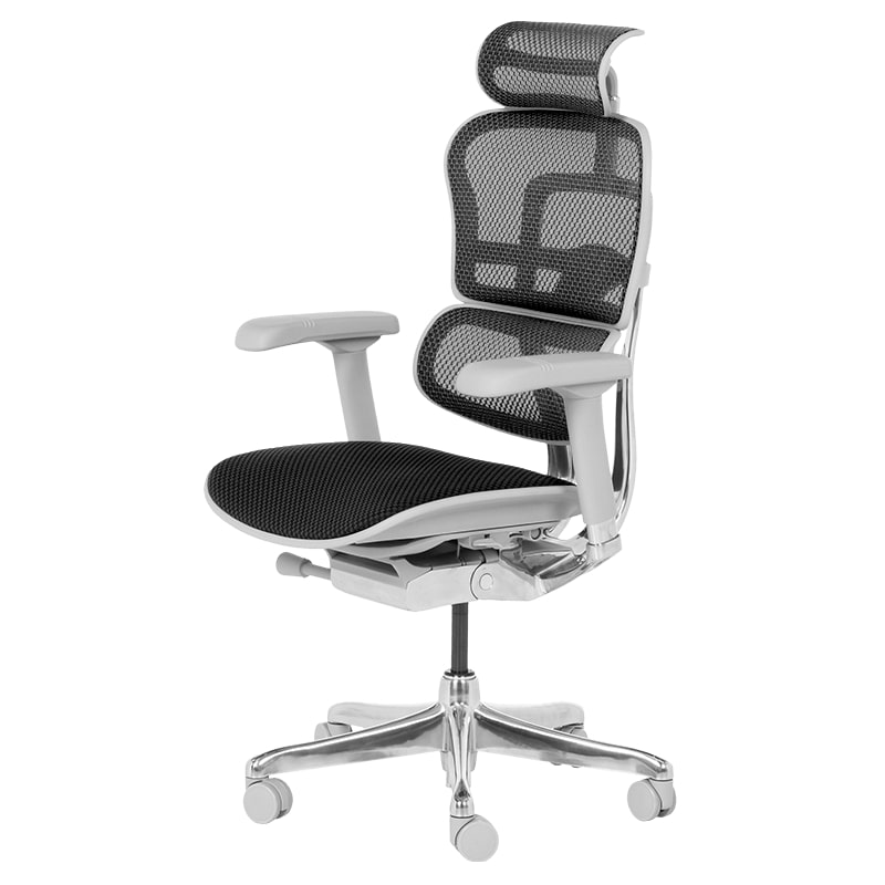 Ергономичен офис стол Ergohuman Elite 2 черен-сива рамка